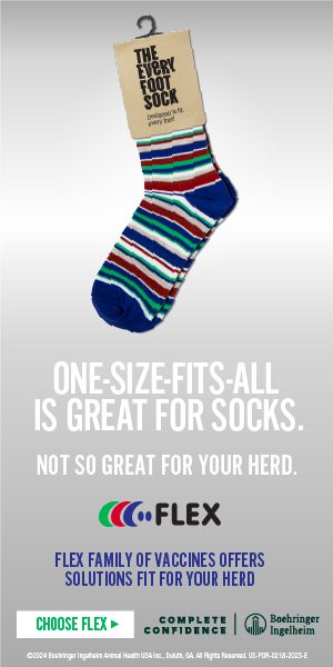 24044-BFLX-FLEX_Solutions_Banner_Ads-No_One_Solution_300x600_static (1)