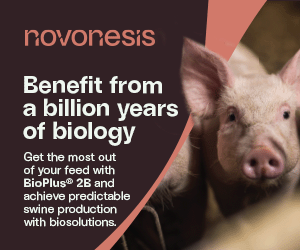 Bannerr-AD_300-x-250px_06-13 (002)