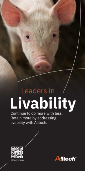 Livability-Ad-300x600