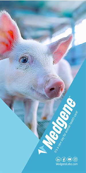 Medgene Swine 300x600