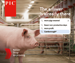 PIC_Artwork_World_Pork_Expo-300x250