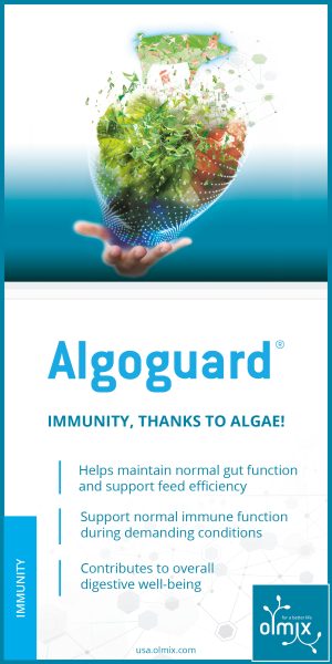 PUB.ALGOGUARD.EN.2026 - 300x600px